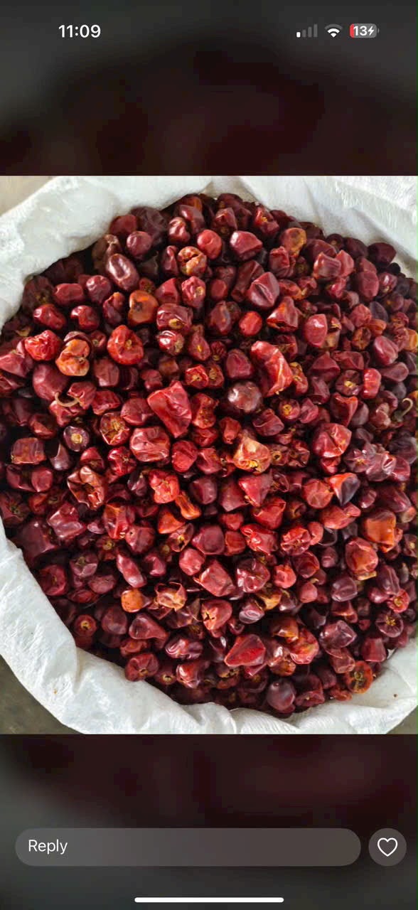 Dried round chillies in sack